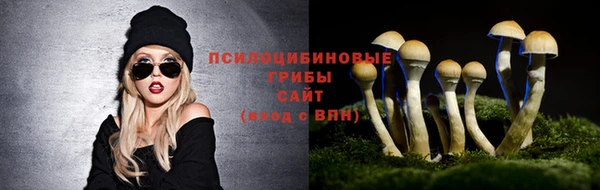 прущая мука Покачи