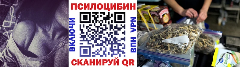где продают наркотики  Николаевск  площадка телеграм  Галлюциногенные грибы Cubensis 